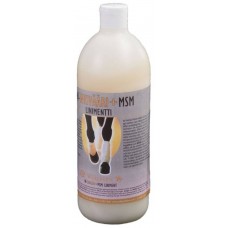 Линимент согревающий W-Ginger + MSM, 1 л