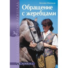 Обращение с жеребцами. Ангелика Шмельцер