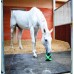 Игрушка BIZZY HORSE