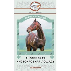 Английская чистокровная лошадь