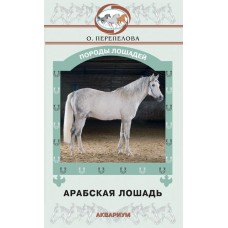 Арабская лошадь