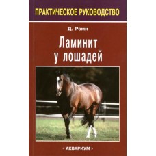Ламинит у лошадей