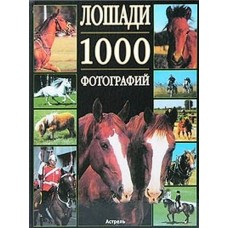 Альбом 1000 фото лошадей