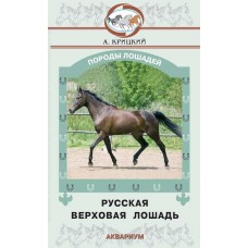 Русская верховая лошадь