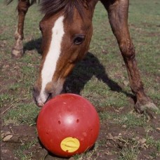 Игрушка-шар для корма SNACK-A-BALL